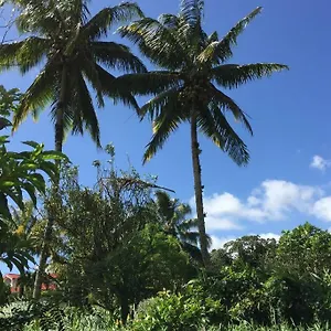 En Pleine Verdure Tropicale -10 Min Appartement Le Morne-Rouge